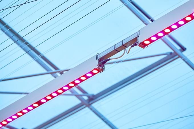 Duurzaam telen met LED verlichting