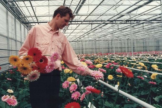 Willem in selectiekas