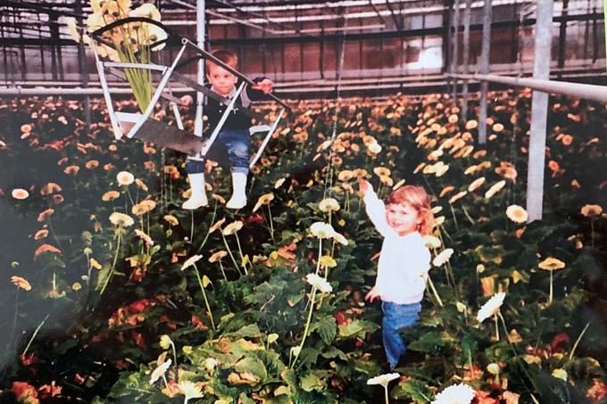 Jong geleerd, oud gedaan