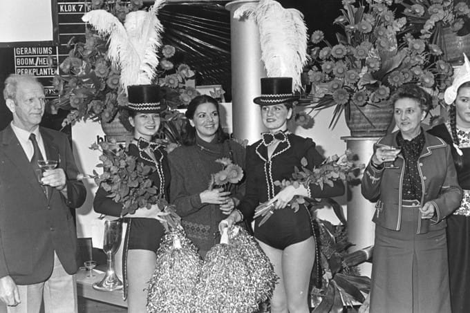 Doop gerbera 'Nancy Reagan'